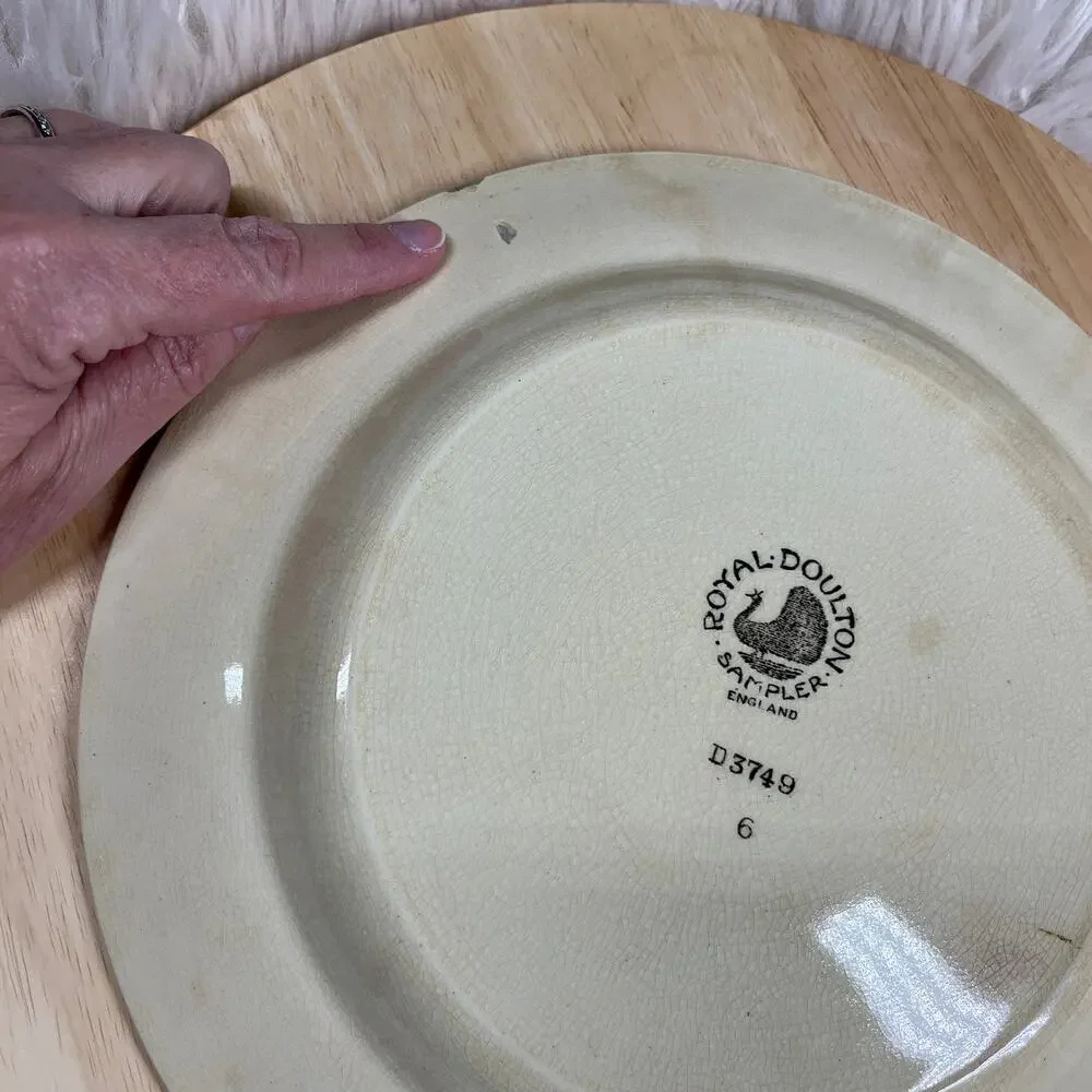 Vintage Royal Doulton Plate Sampler Pattern D3749 Plate Rare 1924 to 1936 Rare